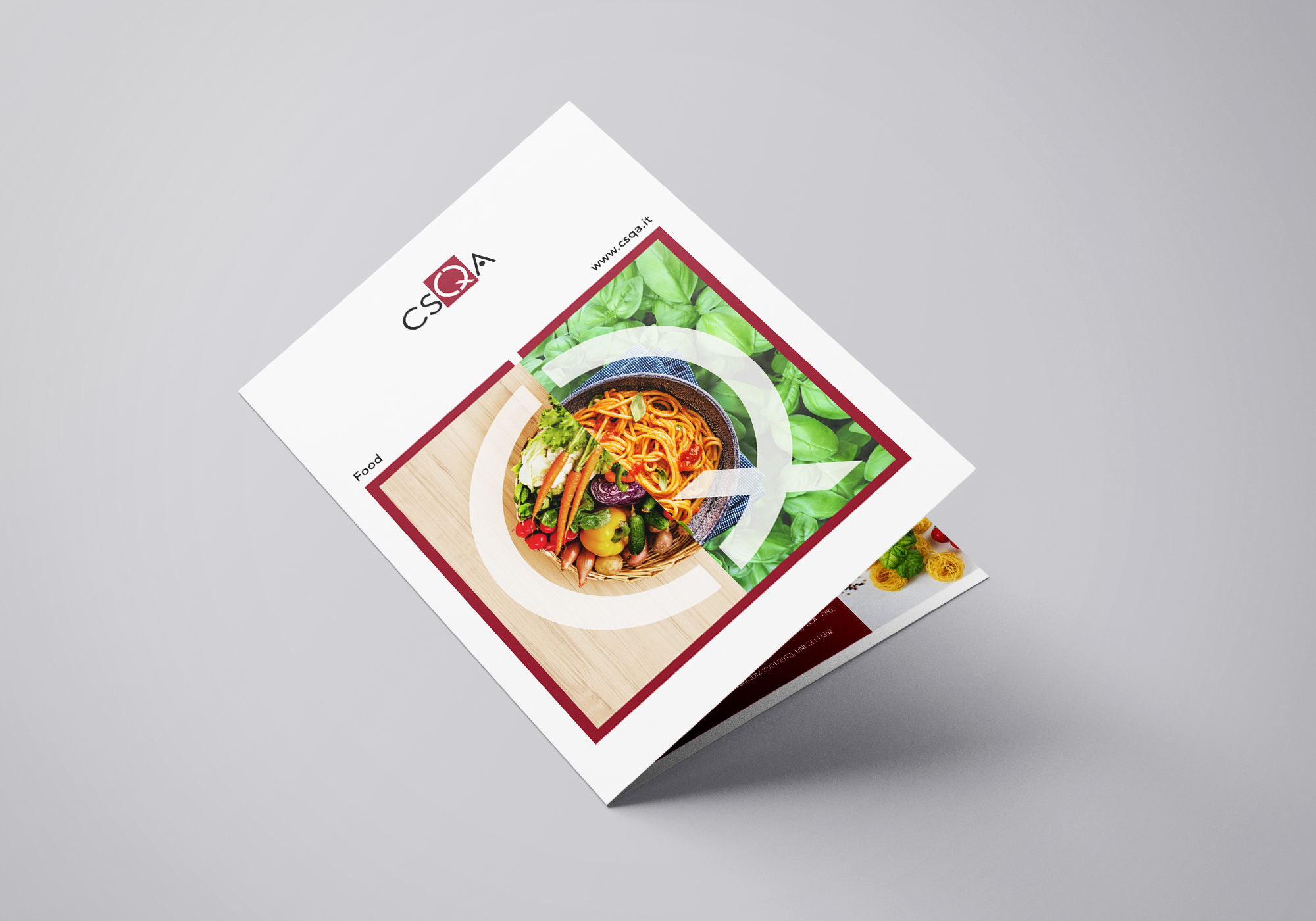 CSQA_2